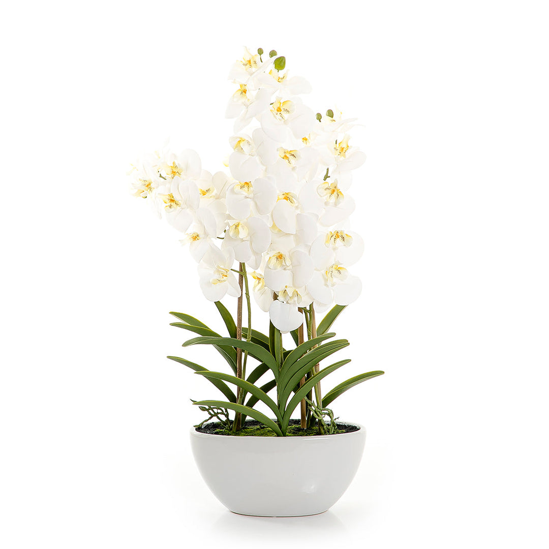Artificial orchid (7454459068611)