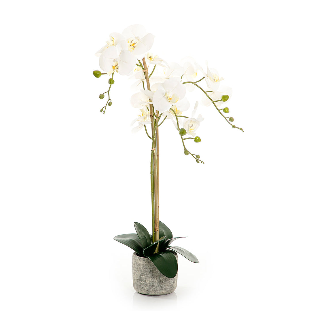 Artificial orchid (7454458937539)