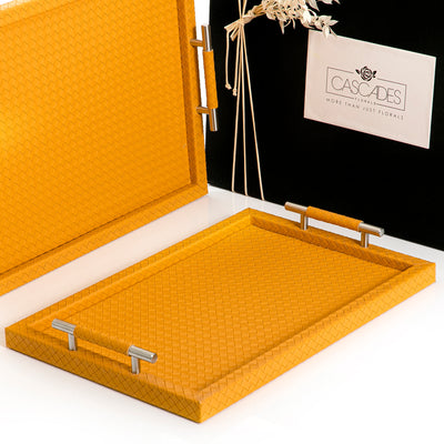 Set of 2  bottega leather trays with gift box (7391614435523)